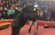 Impactante! Oso ataca a su entrenador durante espectculo en circo y genera pnico entre los asistentes