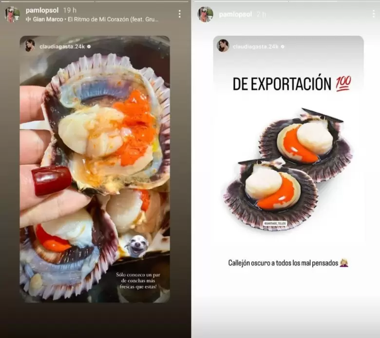 Los polmicos mensajes en las historias de Pamela Lpez. (Instagram)