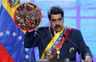 Terrible! Organizacin criminal 'Tren del Llano' amenaza a Nicols Maduro: "Dejen que el pueblo decida"