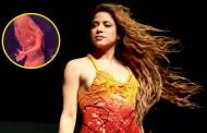 Incmoda! Shakira abandon el escenario luego de que un seguidor intentara grabar bajo su vestido